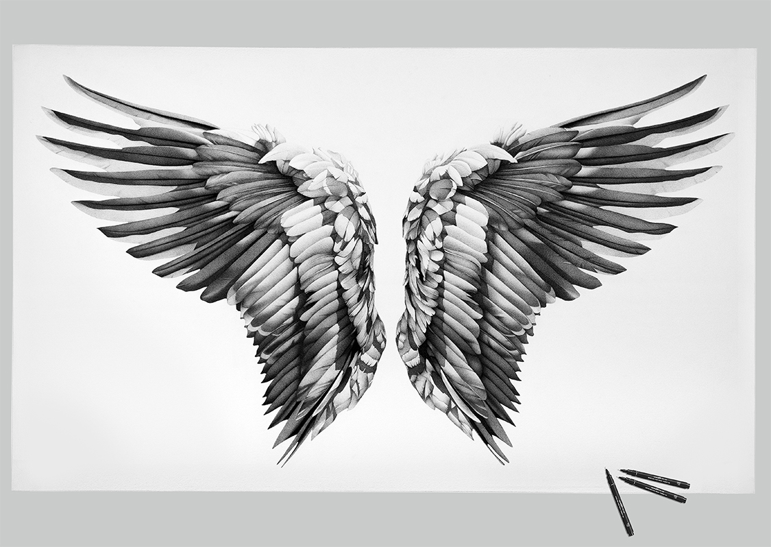 white_wings3